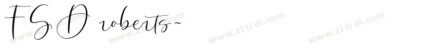 FSD roberts字体转换